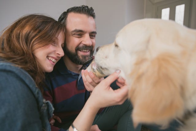 Couple feed their golden retriever peanut butter from the jar