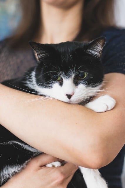 Woman cradles her black and white tabby cat, its green eyes focused on the floor