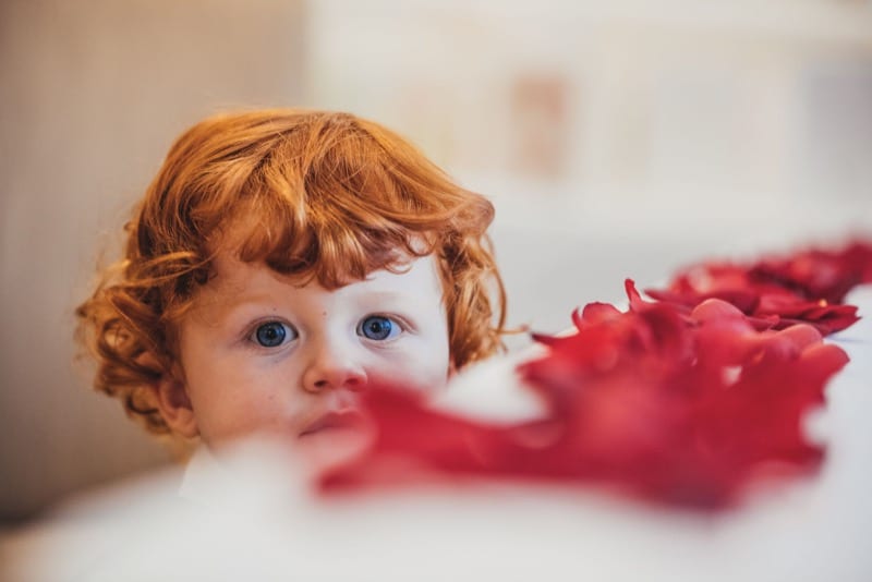 Close up of red-haired toddler gazing at the photogrpaher next to a line of red rose petals